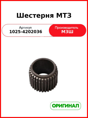 Шестерня МТЗ (1025-4202036