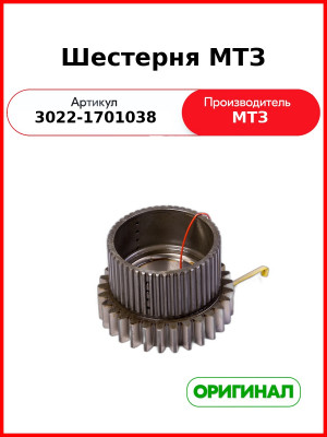 Шестерня (ОАО МТЗ)  3022-1701038