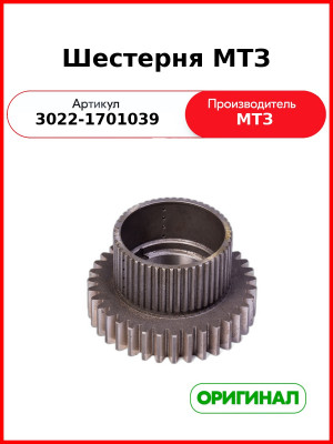 Шестерня (ОАО МТЗ)  3022-1701039