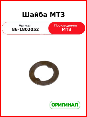 Шайба МТЗ (РУП МТЗ)  86-1802052