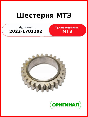 Шестерня (ОАО МТЗ)  2022-1701202