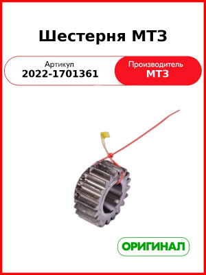 Шестерня МТЗ (ОАО МТЗ)  2022-1701361
