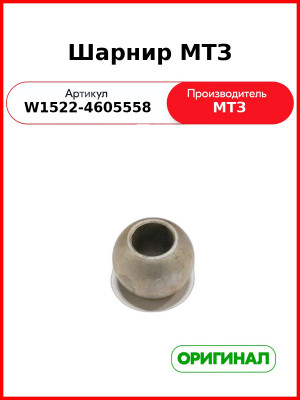 Шарнир (РУП МТЗ)  W1522-4605558