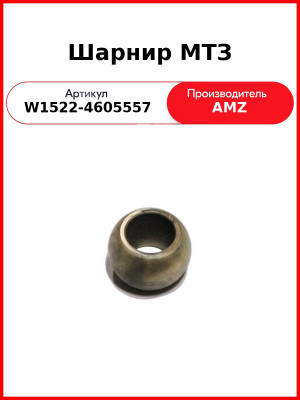 Шарнир (РУП МТЗ)  W1522-4605557