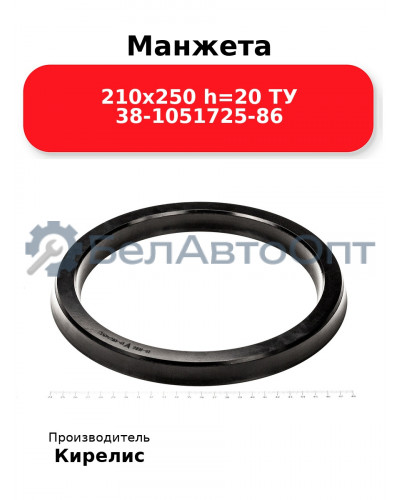 Манжета 210х250 h=20 ТУ 38-1051725-86