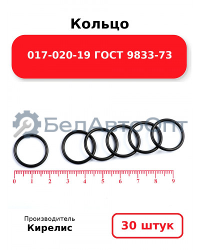 Кольцо 017-020-19 ГОСТ 9833-73 Комплект 30(шт.)