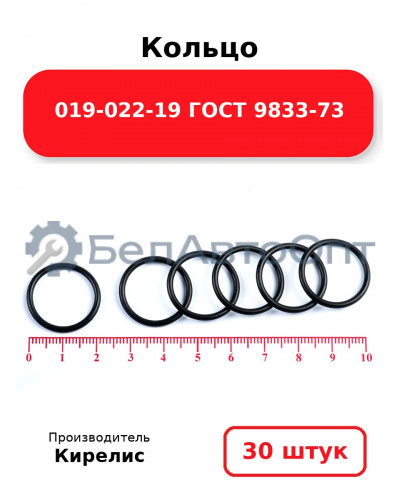 Кольцо 019-022-19 ГОСТ 9833-73. Комплект 30(шт.)