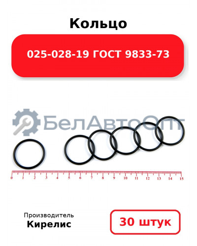 Кольцо 025-028-19 ГОСТ 9833-73. Комплект 30(шт.)