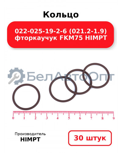 Кольцо 022-025-19-2-6 (021.2-1.9) фторкаучук FKM75 HIMPT. Комплект 30(шт.)