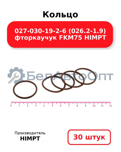 Кольцо 027-030-19-2-6 (026.2-1.9) фторкаучук FKM75 HIMPT. Комплект 30(шт.)